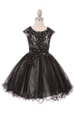 Elegant Two Tone Tulle Dress