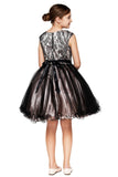 Elegant Two Tone Tulle Dress