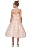 Pearl Bodice Satin Tulle Girls Party Dress in Blush