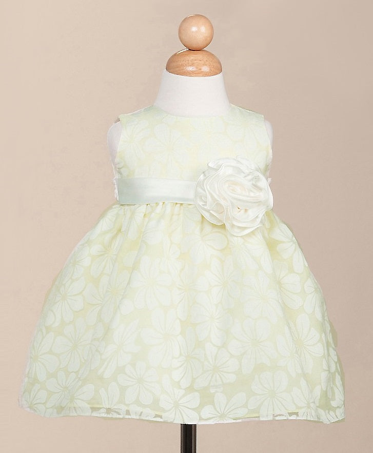Crayon Kids Baby Girls' Apple Green Party Dress Oasislync Crayon Kids Baby Girls' Apple Green Party Dress Oasislync
