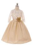 Girls' Gold Stretch Lace Dress with Contrast Tulle - Oasislync
