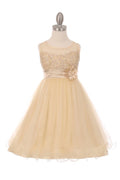 Elegant Pearl Coiled Mesh Girls Party Dress - Oasislync