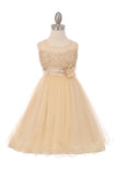 Elegant Pearl Coiled Mesh Girls Party Dress - Oasislync