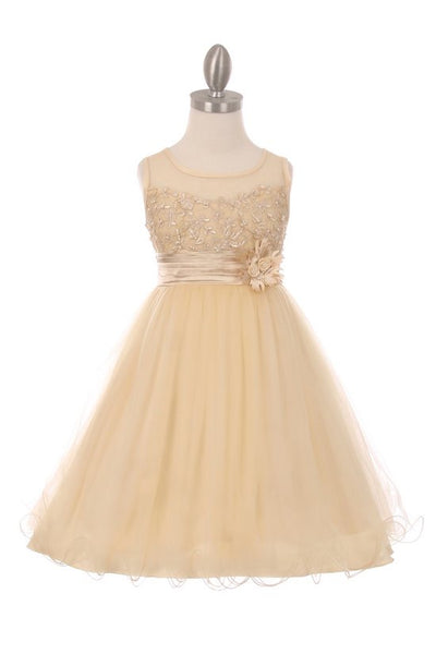 Elegant Pearl Coiled Mesh Girls Party Dress - Oasislync